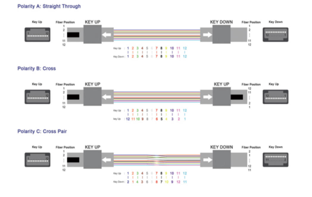MPO Fiber Patch Cord