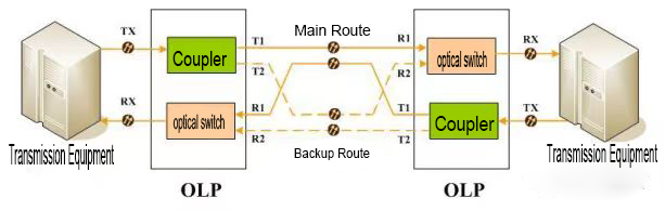 OLP1+1